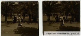 Fotografía estereocópica mujeres en plaza con palmeras. Lugar sin identificar